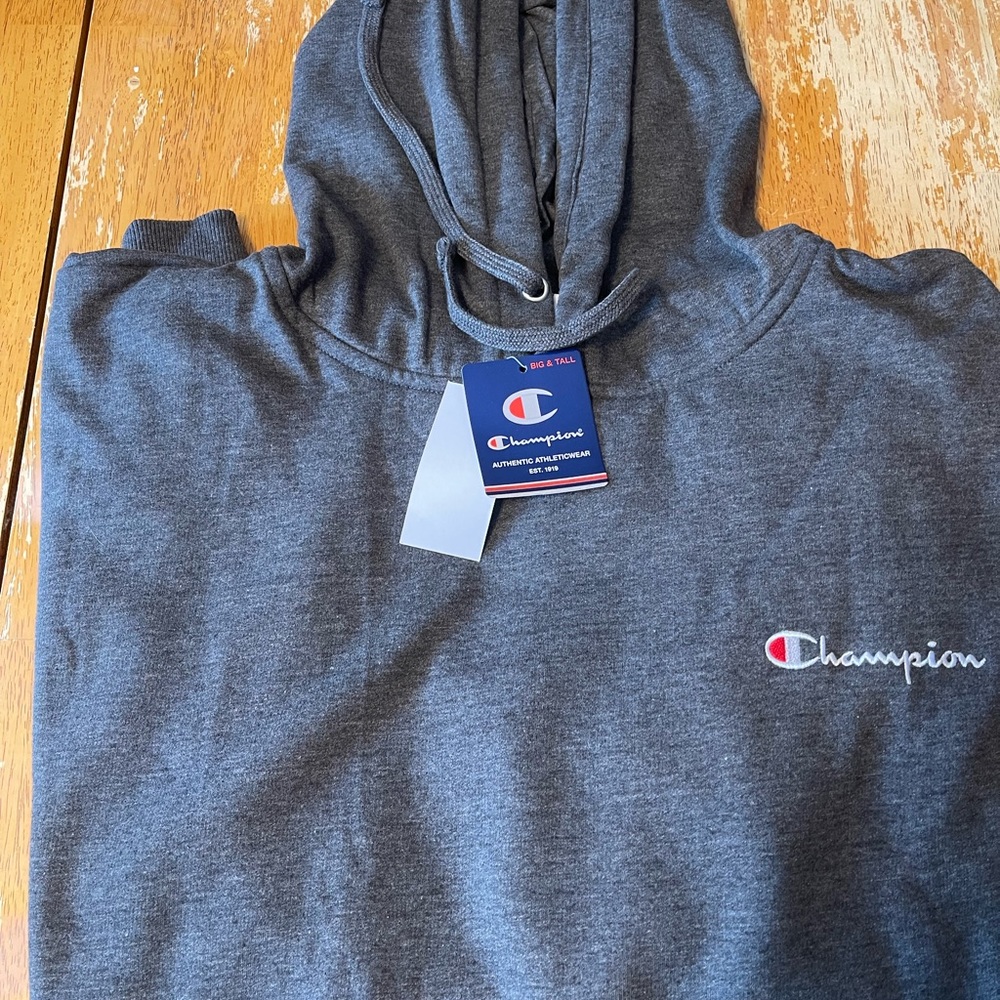 Champion 4x men’s hoodie in grey